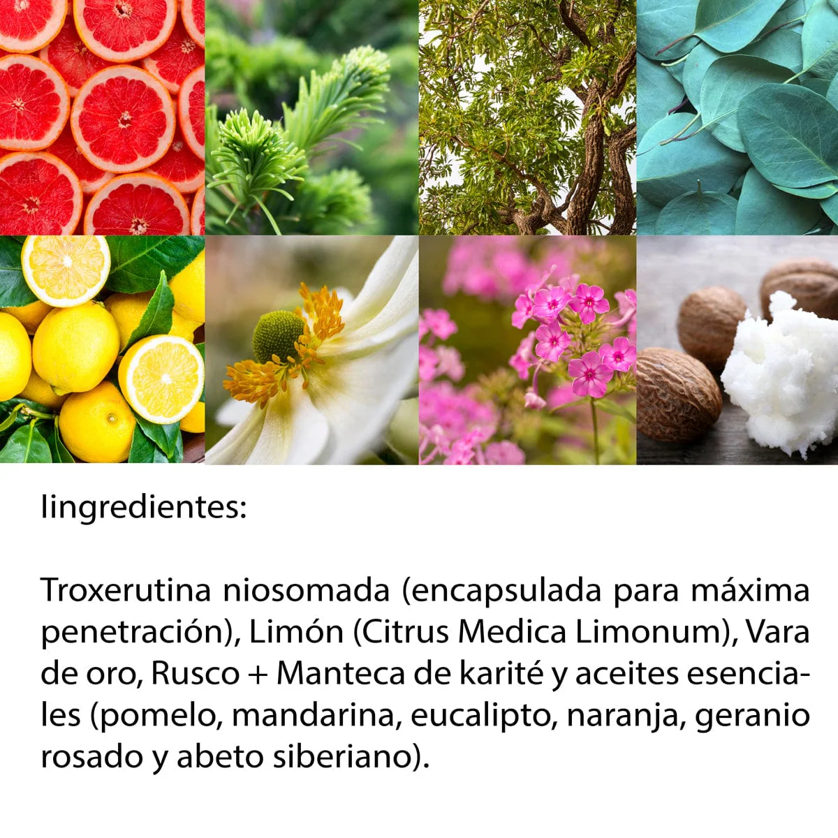 Imagen del producto 8